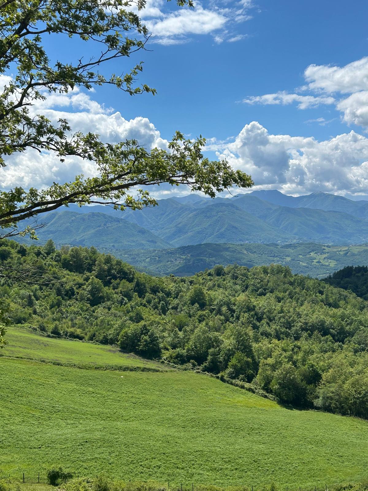 Azienda Agricola San Giuseppe - Camugnano (BO)